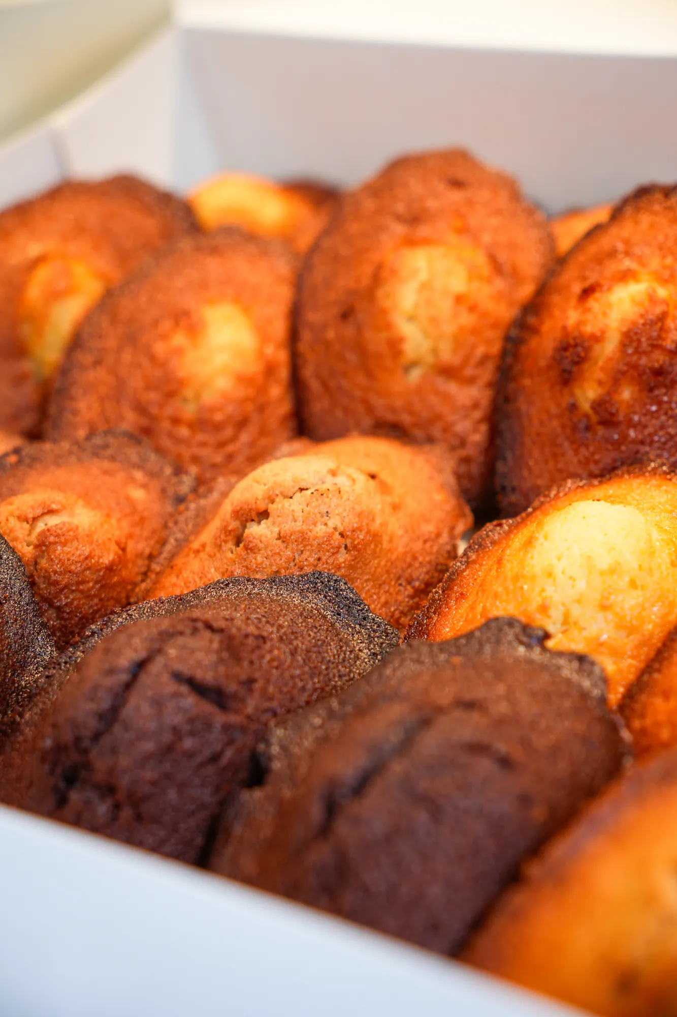 Boîte de madeleines tout juste sorties du four