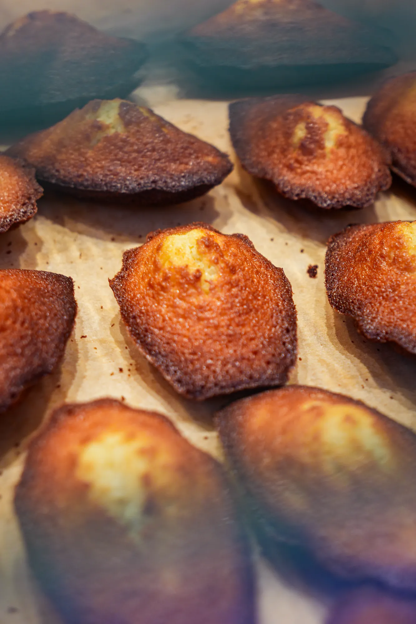 Madeleines dorées filmées en gros plan