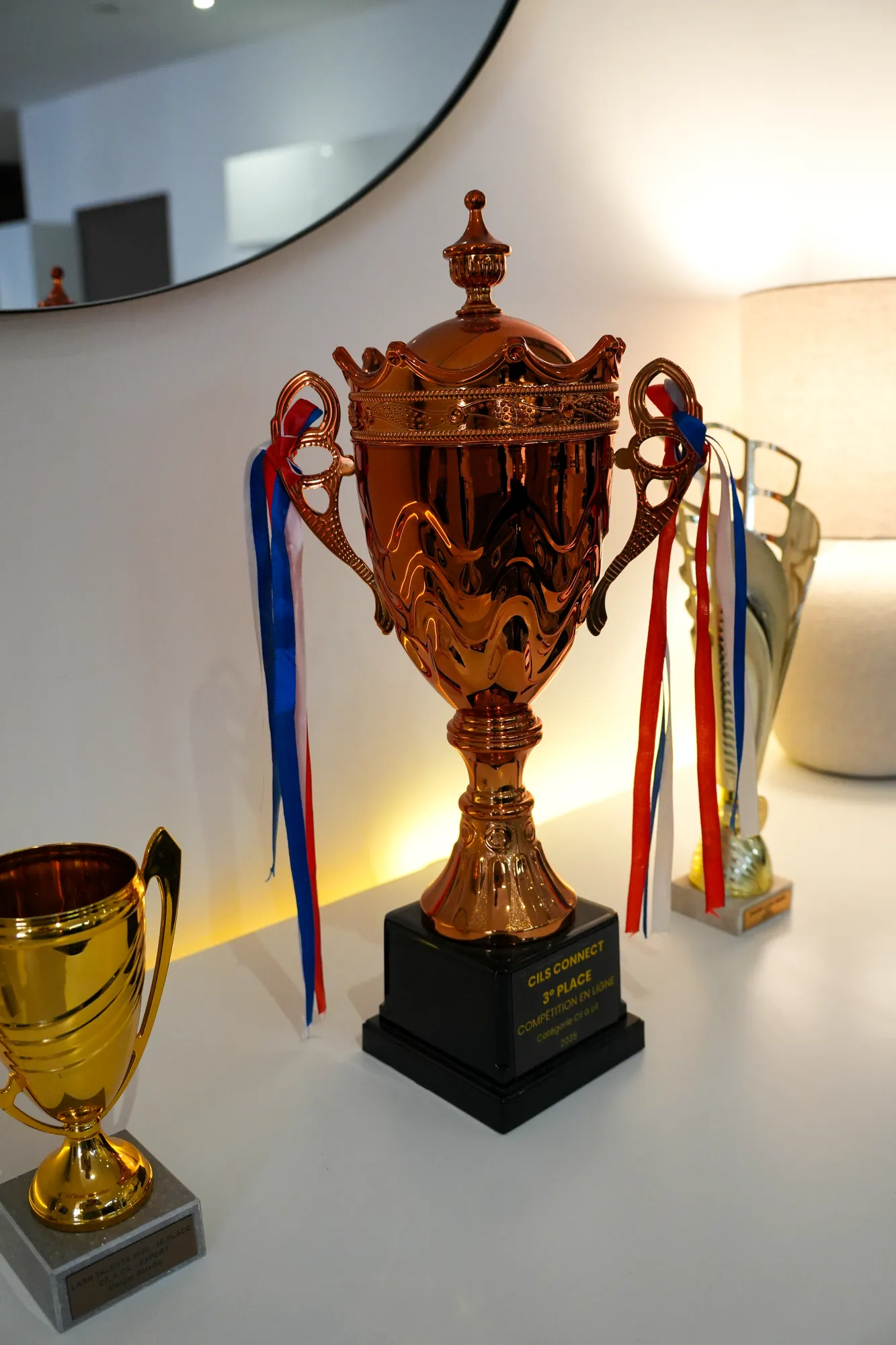 Trophées exposés dans un institut de beauté